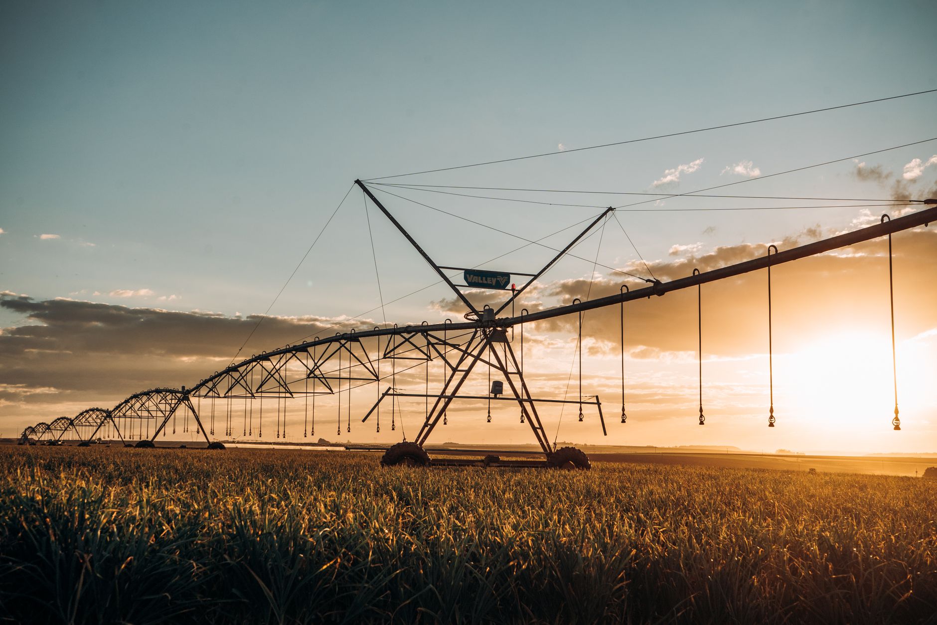 Irrigation économique et bioclimatique pour potager : 9 astuces