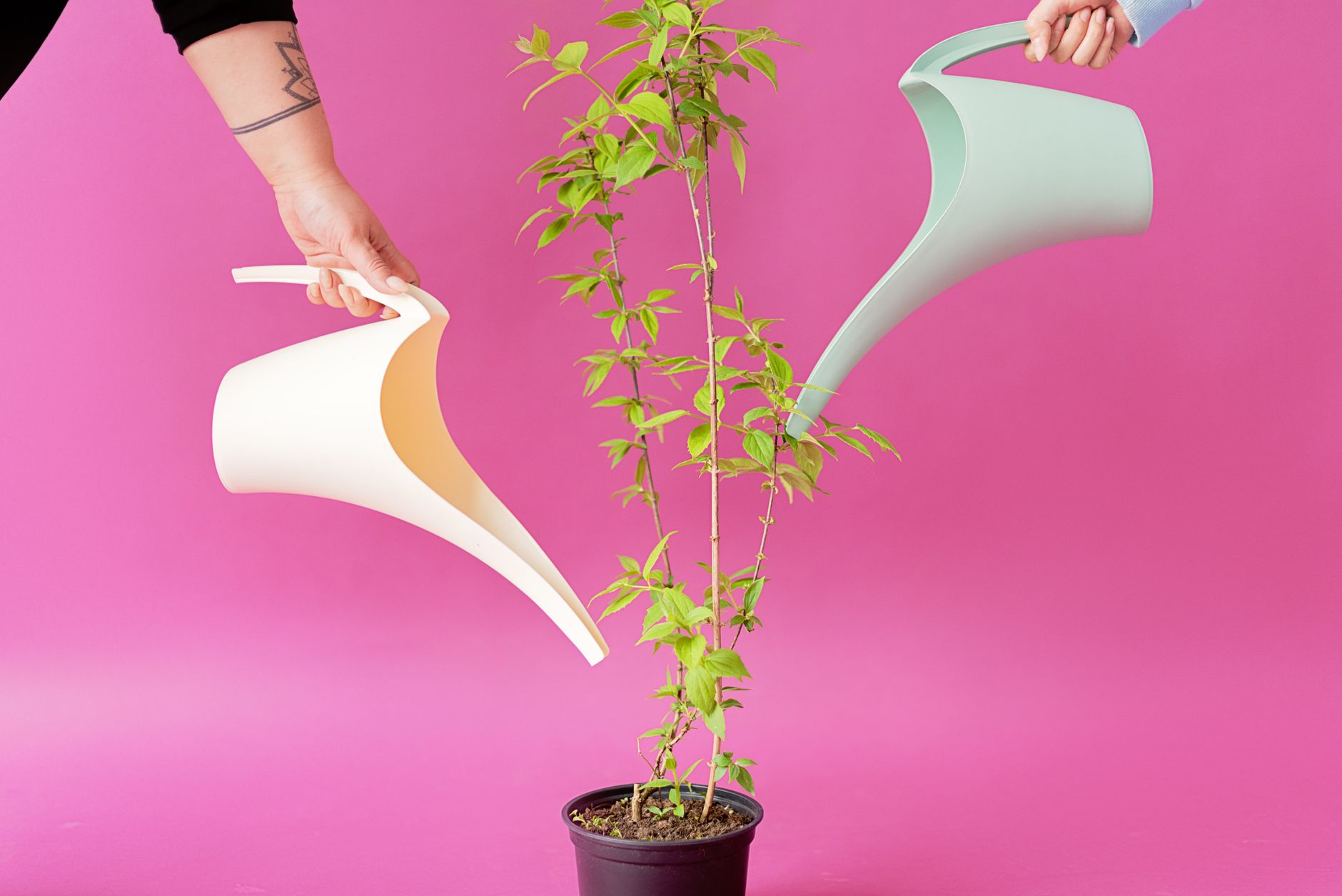 Récupérateurs d'eau pour jardin et potager: guide pratique