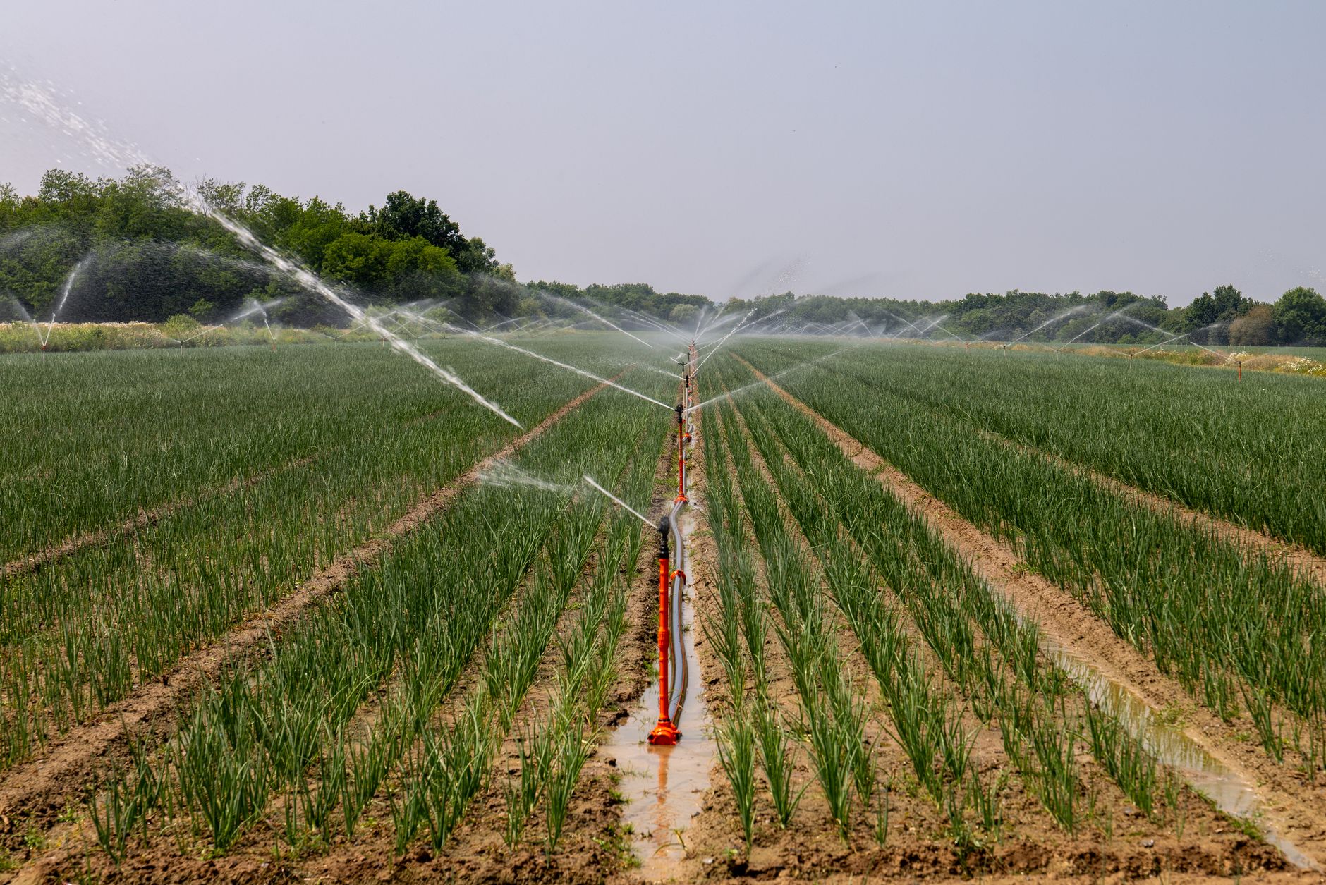 Comparatif de systèmes de surpression pour irrigation